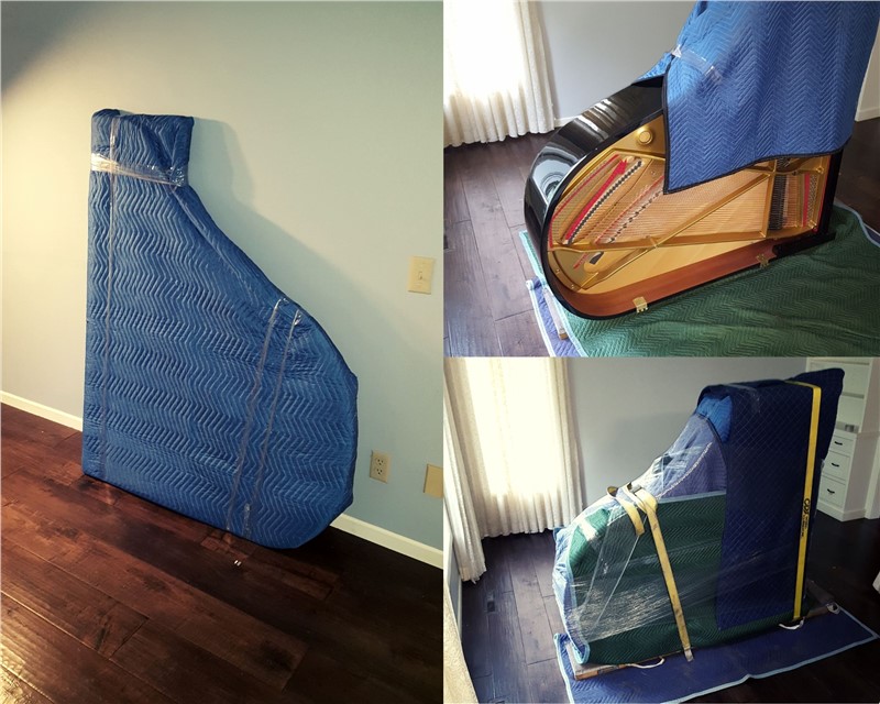 piano moving delta
