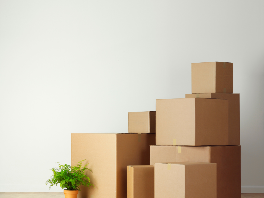 Packing boxes